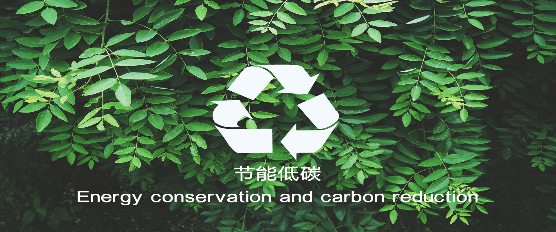 利来集团(中国)_来利国际w66旗舰厅